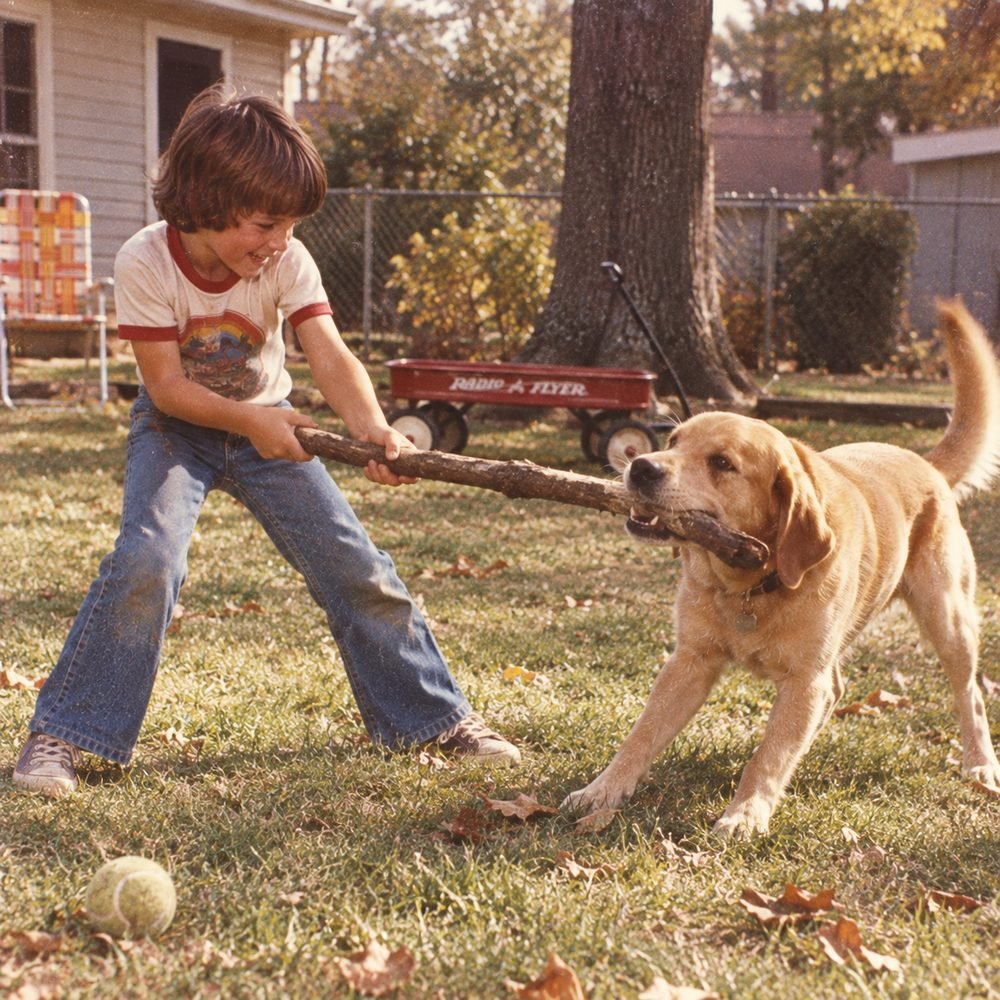 Our Dogs Didn't Have Many Toys